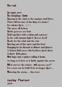 A poem of the finding of an empty nest.