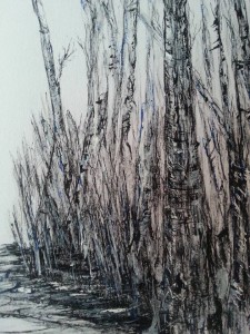 a winter woodland