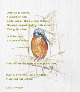 Kingfisher Poem...